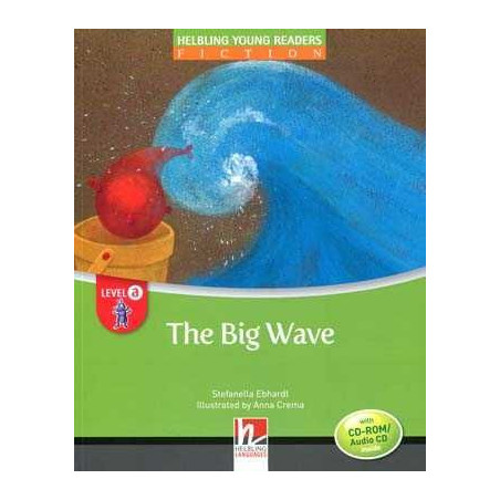 Big Wave + cd rom/audio Level A