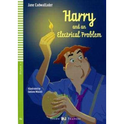 Harry and an Electrical Problem A2 + cd audio (flyers)