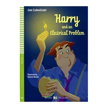 Harry and an Electrical Problem A2 + cd audio (flyers)