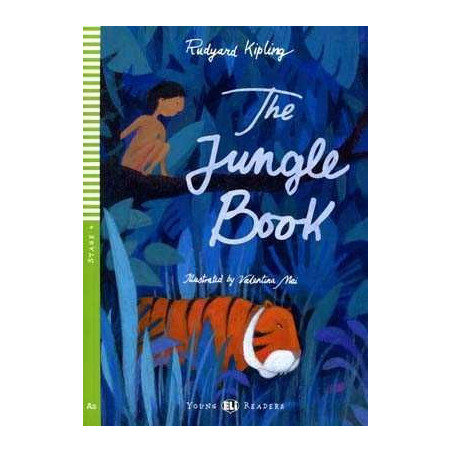 Jungle Book A2 + cd audio (flyers)