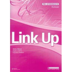 Link Up Pre Intermediate ejercicios