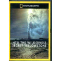 Into the Wildwerness : Secret Yellowstone DVD