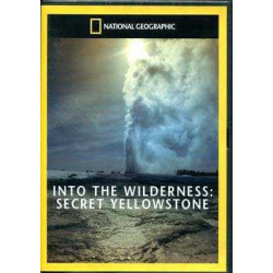 Into the Wildwerness : Secret Yellowstone DVD