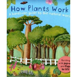 How Plants Work Pop-up + flaps to lift