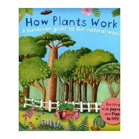 How Plants Work Pop-up + flaps to lift