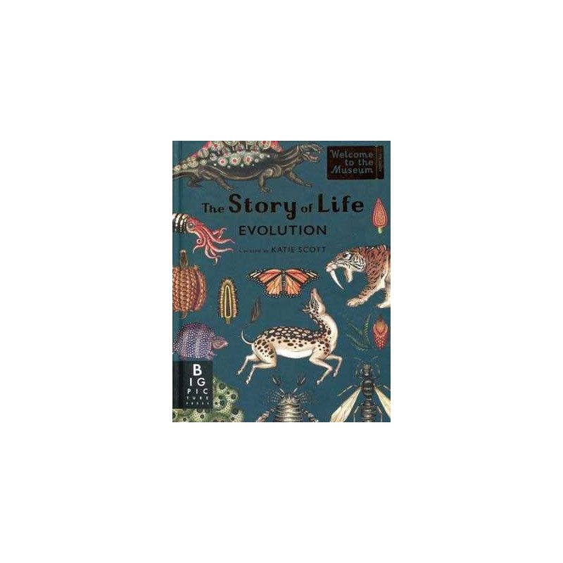 Story of Life Evolution HB