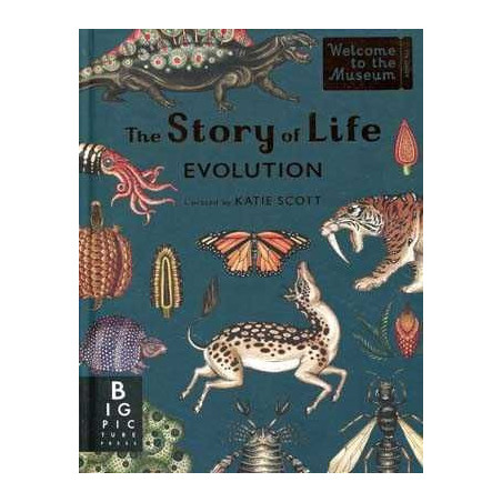 Story of Life Evolution HB