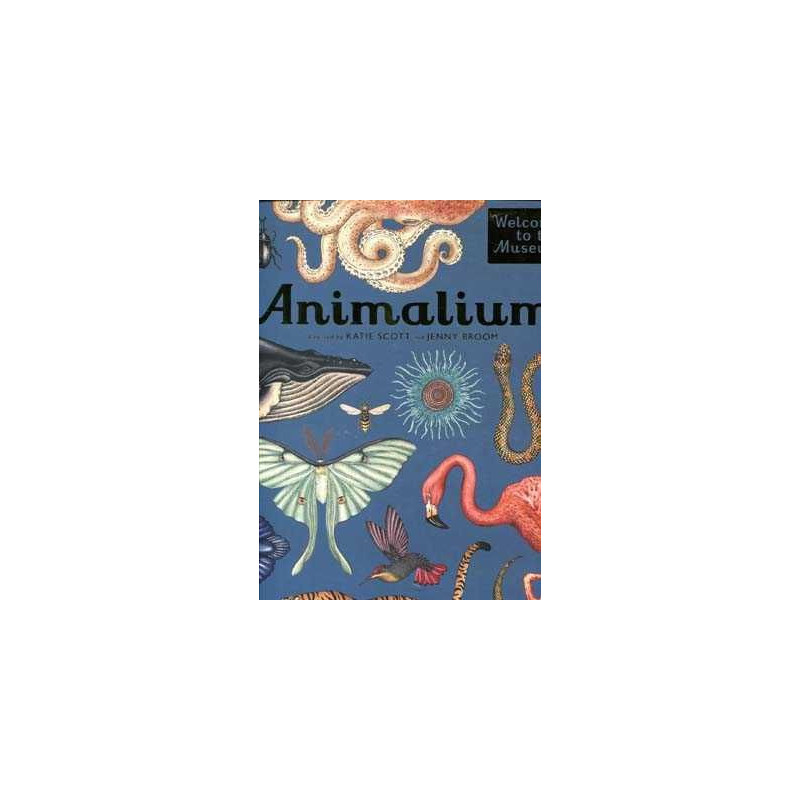 Animalium ( Welcome To The Museum ) HB