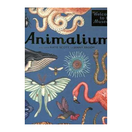 Animalium ( Welcome To The Museum ) HB