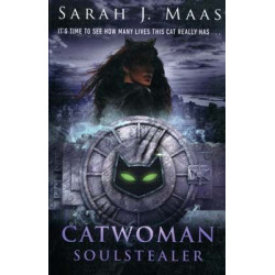 Catwoman: Soulstealer DC Icons Series