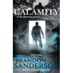 Calamity ( Reckoners )