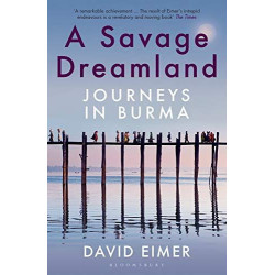 A Savage Dreamland: Journeys in Burma PB Travel