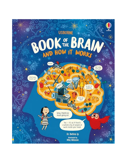 Usborne Book of the Brain and How it Works HB