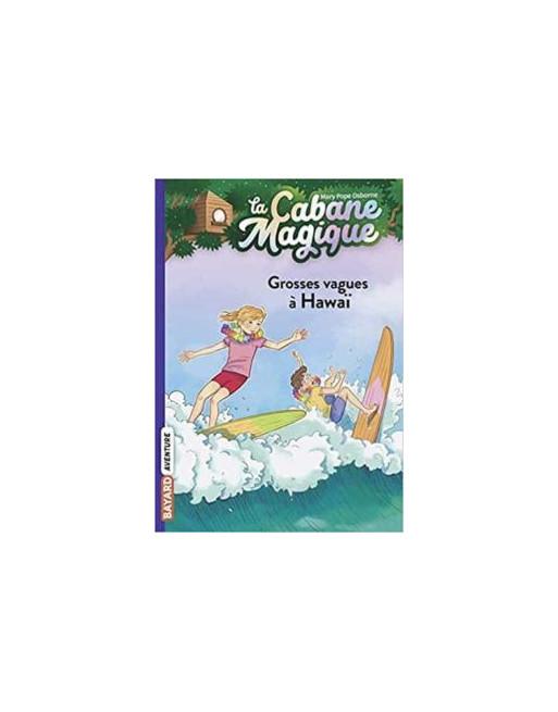 Cabane Magique 23 : Grosses vagues à Hawaï