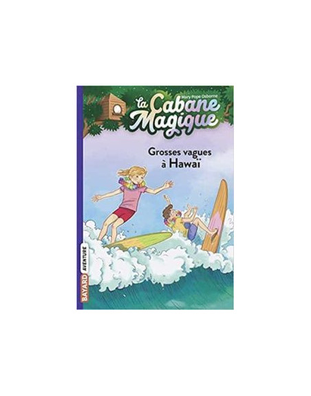 Cabane Magique 23 : Grosses vagues à Hawaï