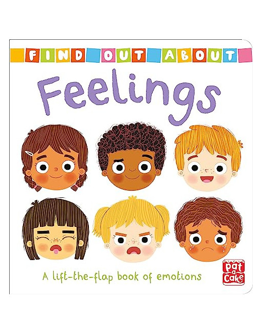 Feelings : A lift-the-flap board book of emotions