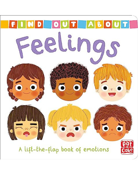 Feelings : A lift-the-flap board book of emotions