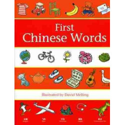 First Chinese Words