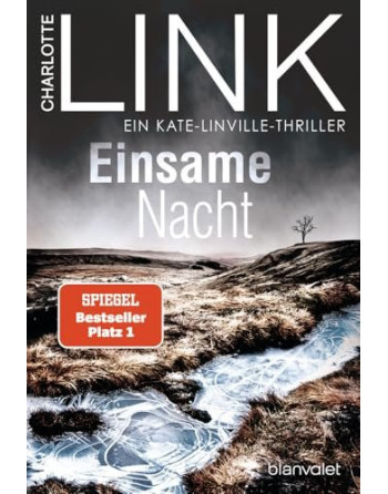 Einsame Nacht