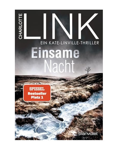 Einsame Nacht