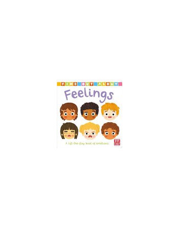 Feelings : A lift-the-flap board book of emotions