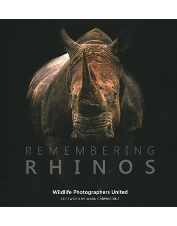 Remembering Rhinos