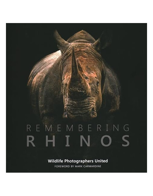 Remembering Rhinos