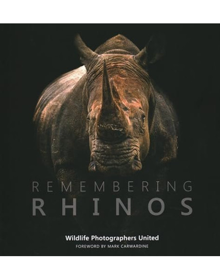 Remembering Rhinos