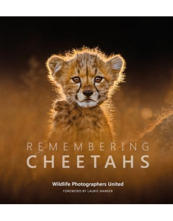 Remembering Cheetahs : 5