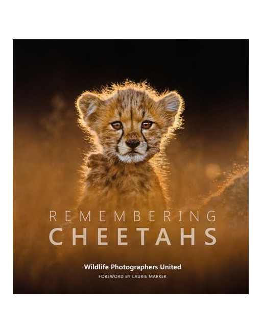 Remembering Cheetahs : 5
