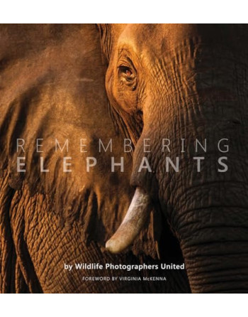 Remembering Elephants : 1