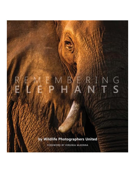 Remembering Elephants : 1