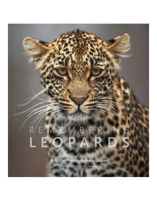 Remembering Leopards: 8 (Remembering Wildlife)