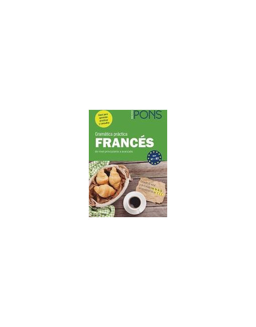 Gramatica Practica Frances