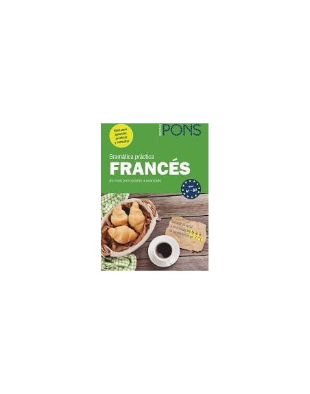 Gramatica Practica Frances