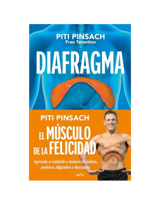 Diafragma: El Músculo De La Felicidad