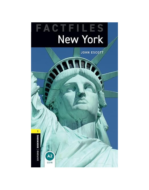 New York audio web