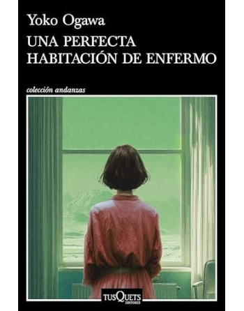 Una perfecta habitacion de enfermo
