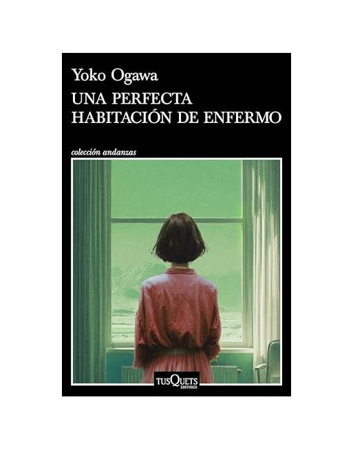 Una perfecta habitacion de enfermo
