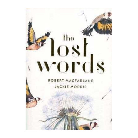 Lost Words HB