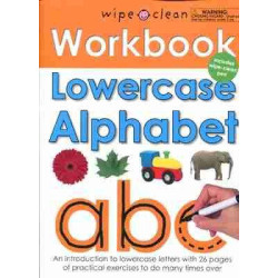 Lowercase Alphabet Workbook (practical letters to do many time over)