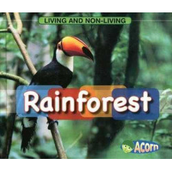 Rainforest (Scottish Curriculum)