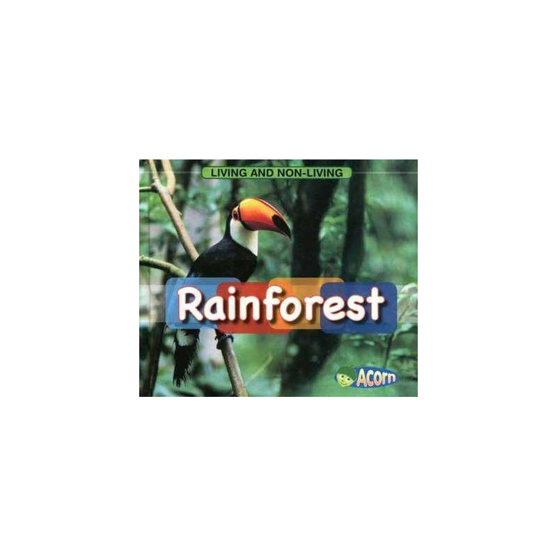 Rainforest (Scottish Curriculum)