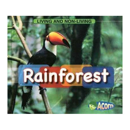 Rainforest (Scottish Curriculum)