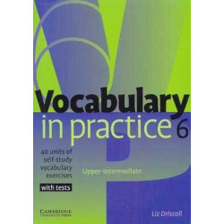 Vocabulary in Practice 6