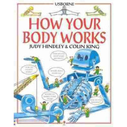 How your Body Works