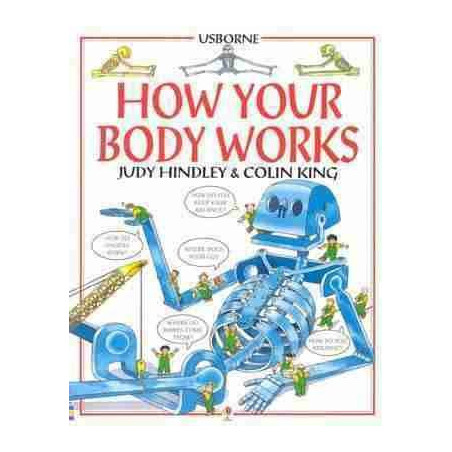 How your Body Works