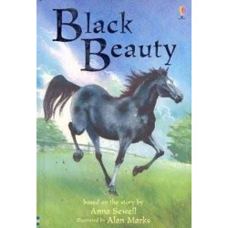 Black Beauty level 2 HB