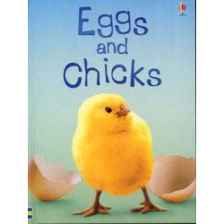 Usborne Beginners level 1 : Eggs and Chicks HB