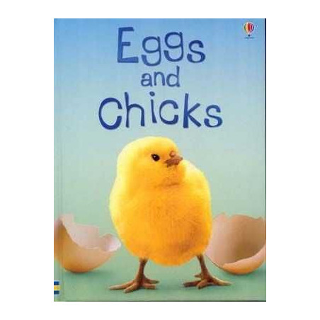 Usborne Beginners level 1 : Eggs and Chicks HB